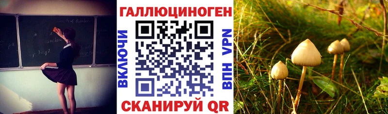 Псилоцибиновые грибы MAGIC MUSHROOMS  Сковородино 